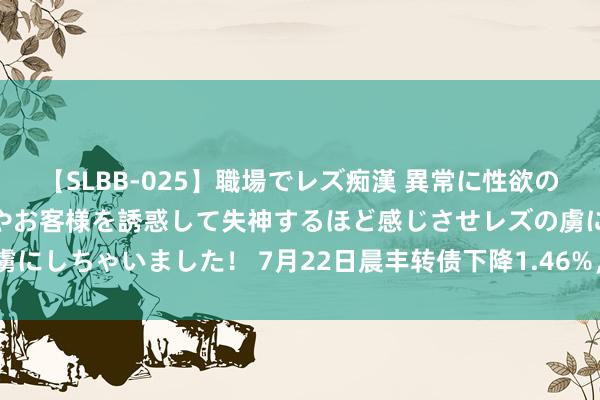 【SLBB-025】職場でレズ痴漢 異常に性欲の強い私（真性レズ）同僚やお客様を誘惑して失神するほど感じさせレズの虜にしちゃいました！ 7月22日晨丰转债下降1.46%，转股溢价率24.72%