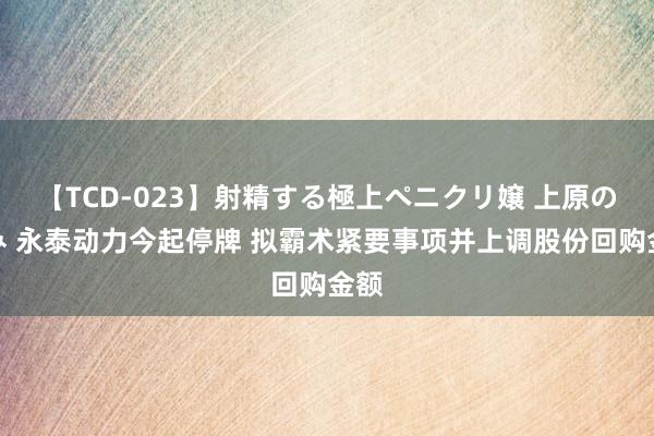 【TCD-023】射精する極上ペニクリ嬢 上原のぞみ 永泰动力今起停牌 拟霸术紧要事项并上调股份回购金额