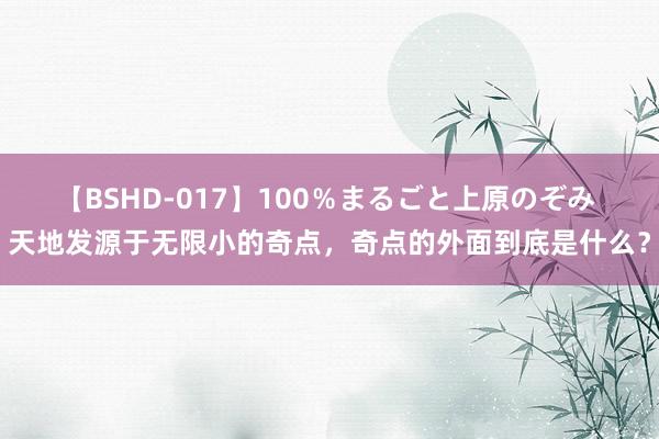 【BSHD-017】100％まるごと上原のぞみ 天地发源于无限小的奇点，奇点的外面到底是什么？