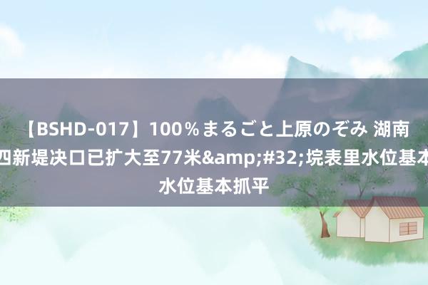 【BSHD-017】100％まるごと上原のぞみ 湖南涓水四新堤决口已扩大至77米&#32;垸表里水位基本抓平