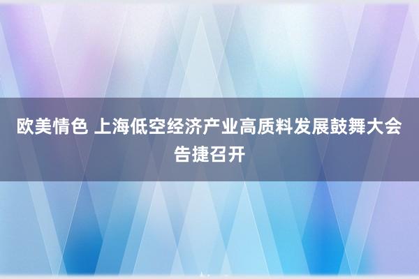 欧美情色 上海低空经济产业高质料发展鼓舞大会告捷召开