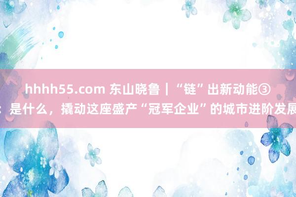 hhhh55.com 东山晓鲁｜“链”出新动能③：是什么，撬动这座盛产“冠军企业”的城市进阶发展