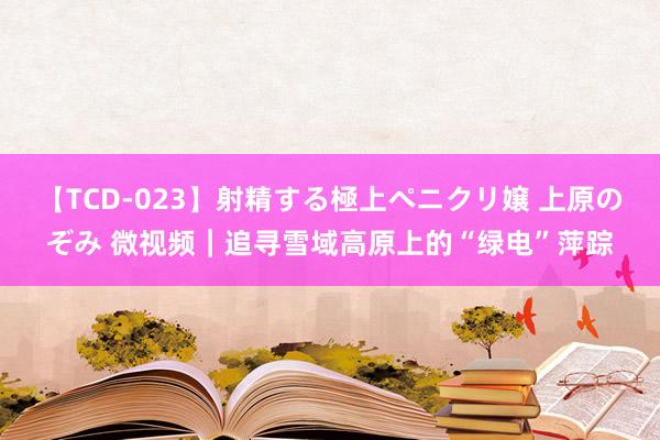 【TCD-023】射精する極上ペニクリ嬢 上原のぞみ 微视频｜追寻雪域高原上的“绿电”萍踪