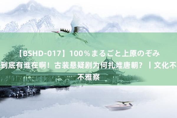 【BSHD-017】100％まるごと上原のぞみ 唐朝到底有谁在啊！古装悬疑剧为何扎堆唐朝？丨文化不雅察