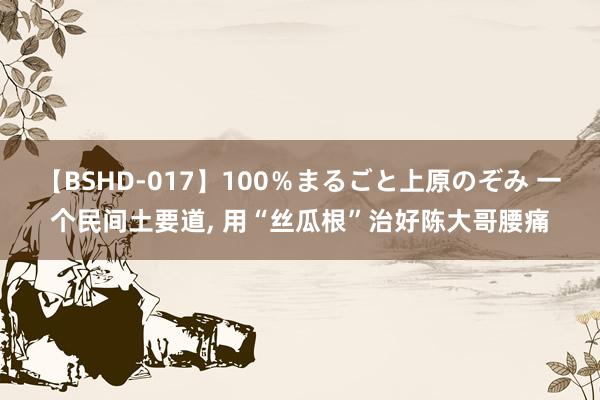 【BSHD-017】100％まるごと上原のぞみ 一个民间土要道， 用“丝瓜根”治好陈大哥腰痛