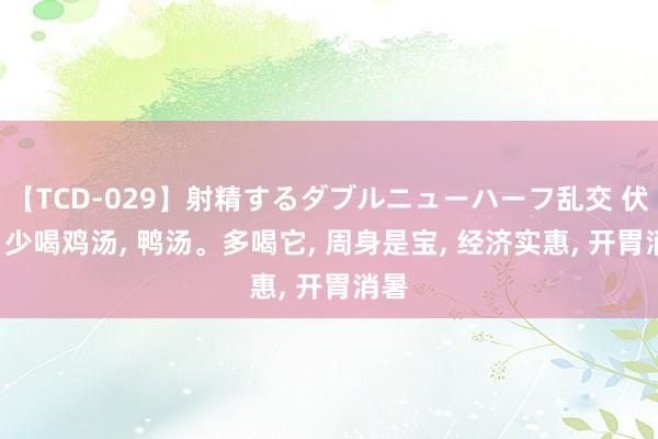 【TCD-029】射精するダブルニューハーフ乱交 伏天， 少喝鸡汤， 鸭汤。多喝它， 周身是宝， 经济实惠， 开胃消暑