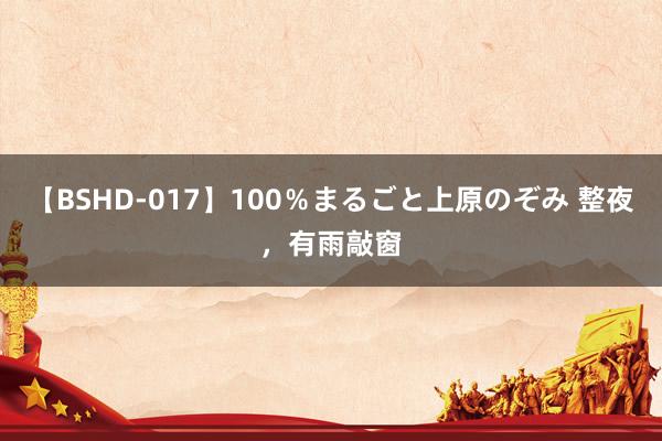 【BSHD-017】100％まるごと上原のぞみ 整夜，有雨敲窗