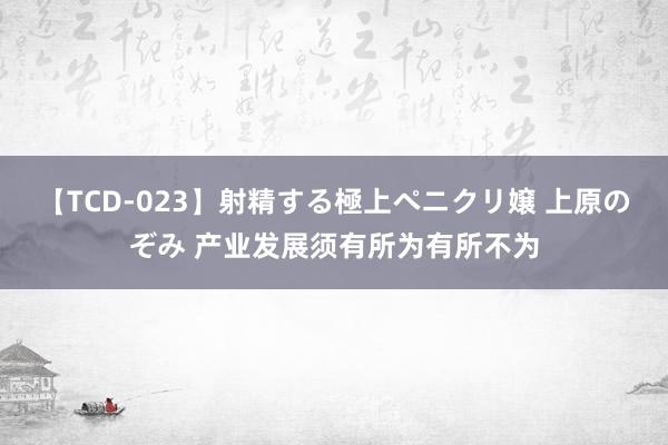 【TCD-023】射精する極上ペニクリ嬢 上原のぞみ 产业发展须有所为有所不为