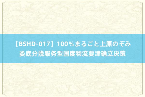 【BSHD-017】100％まるごと上原のぞみ 娄底分娩服务型国度物流要津确立决策