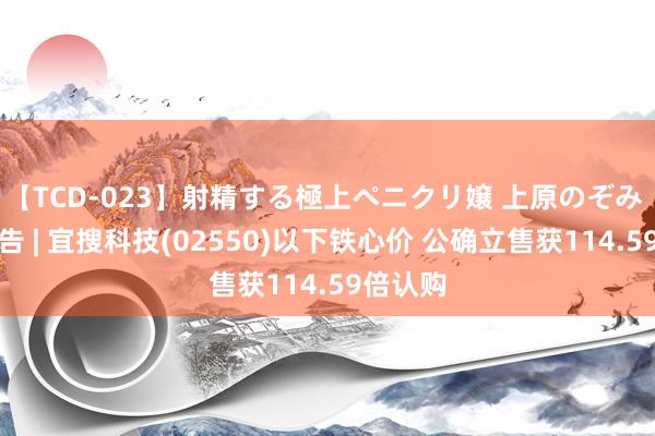 【TCD-023】射精する極上ペニクリ嬢 上原のぞみ 新股公告 | 宜搜科技(02550)以下铁心价 公确立售获114.59倍认购