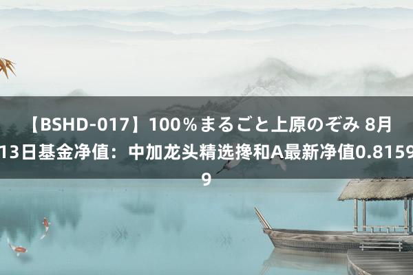 【BSHD-017】100％まるごと上原のぞみ 8月13日基金净值：中加龙头精选搀和A最新净值0.8159