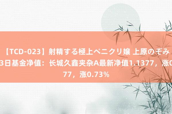 【TCD-023】射精する極上ペニクリ嬢 上原のぞみ 8月13日基金净值：长城久鑫夹杂A最新净值1.1377，涨0.73%