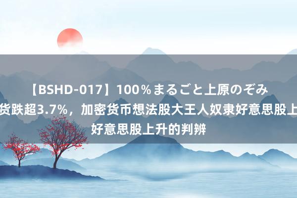 【BSHD-017】100％まるごと上原のぞみ 比特币期货跌超3.7%，加密货币想法股大王人奴隶好意思股上升的判辨