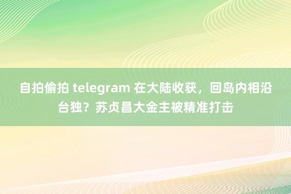 自拍偷拍 telegram 在大陆收获，回岛内相沿台独？苏贞昌大金主被精准打击