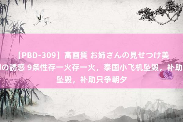 【PBD-309】高画質 お姉さんの見せつけ美尻＆美脚の誘惑 9条性存一火存一火，泰国小飞机坠毁，补助只争朝夕