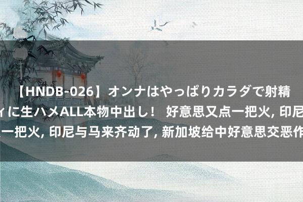 【HNDB-026】オンナはやっぱりカラダで射精する 厳選美巨乳ボディに生ハメALL本物中出し！ 好意思又点一把火， 印尼与马来齐动了， 新加坡给中好意思交恶作念最坏绸缪