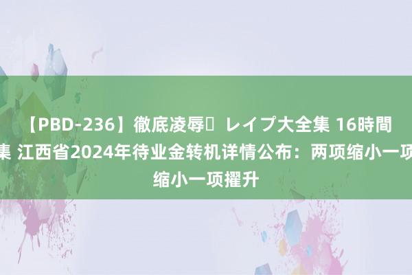 【PBD-236】徹底凌辱・レイプ大全集 16時間 第2集 江西省2024年待业金转机详情公布：两项缩小一项擢升