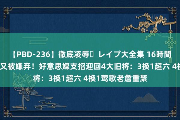 【PBD-236】徹底凌辱・レイプ大全集 16時間 第2集 湖东谈主又被嫌弃！好意思媒支招迎回4大旧将：3换1超六 4换1莺歌老詹重聚