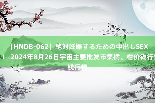 【HNDB-062】絶対妊娠するための中出しSEX！！ 2024年8月26日宇宙主要批发市集橘、柑价钱行情