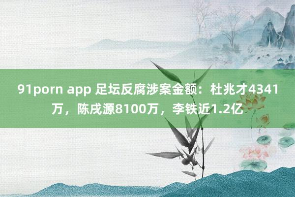 91porn app 足坛反腐涉案金额：杜兆才4341万，陈戌源8100万，李铁近1.2亿