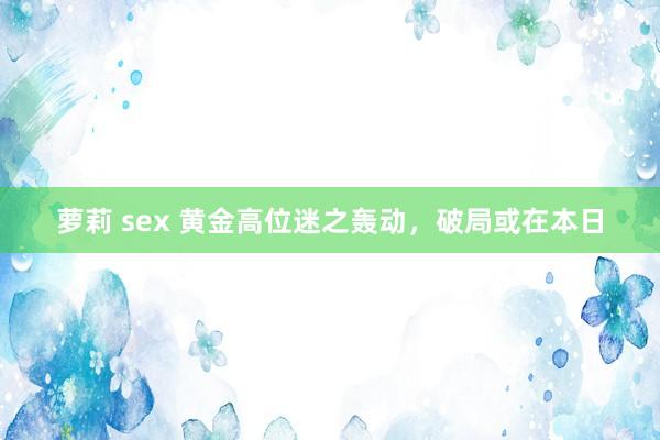 萝莉 sex 黄金高位迷之轰动，破局或在本日