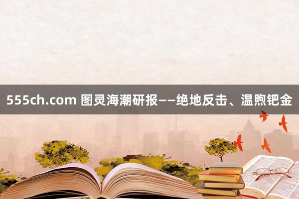 555ch.com 图灵海潮研报——绝地反击、温煦钯金