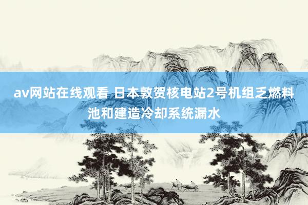 av网站在线观看 日本敦贺核电站2号机组乏燃料池和建造冷却系统漏水