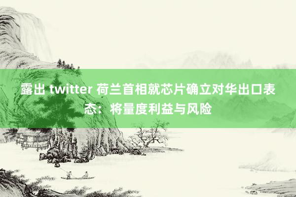 露出 twitter 荷兰首相就芯片确立对华出口表态：将量度利益与风险