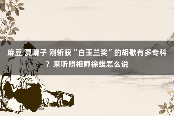 麻豆 夏晴子 刚斩获“白玉兰奖”的胡歌有多专科？来听照相师徐雄怎么说