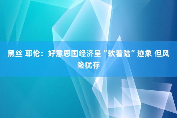 黑丝 耶伦：好意思国经济呈“软着陆”迹象 但风险犹存