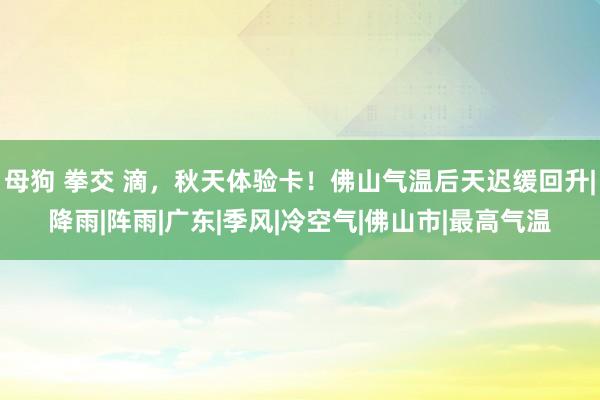 母狗 拳交 滴，秋天体验卡！佛山气温后天迟缓回升|降雨|阵雨|广东|季风|冷空气|佛山市|最高气温