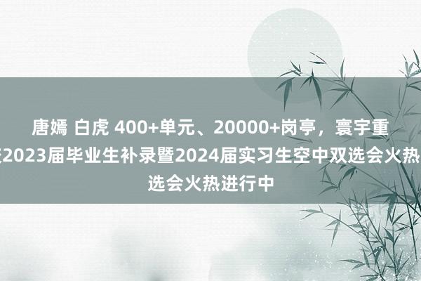 唐嫣 白虎 400+单元、20000+岗亭，寰宇重心高校2023届毕业生补录暨2024届实习生空中双选会火热进行中