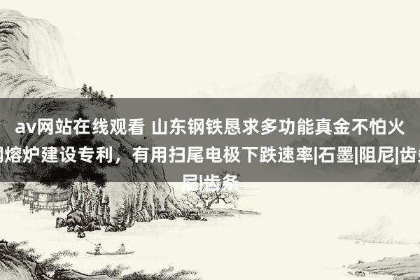 av网站在线观看 山东钢铁恳求多功能真金不怕火钢熔炉建设专利，有用扫尾电极下跌速率|石墨|阻尼|齿条