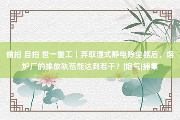 偷拍 自拍 世一重工丨弃取湿式静电除尘器后，熔炉厂的排放轨范能达到若干？|烟气|捕集